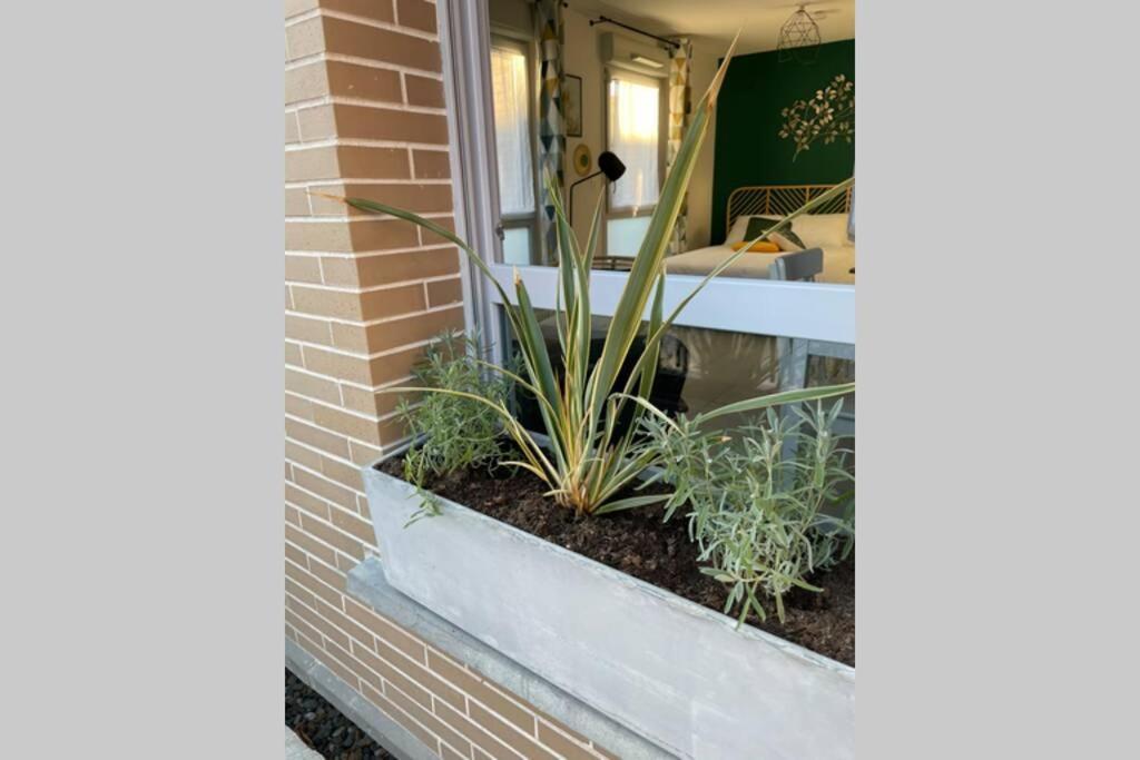 Ferienwohnung Minimes, Studio Cosy Tout Confort, Wifi, Parking Toulouse Exterior foto